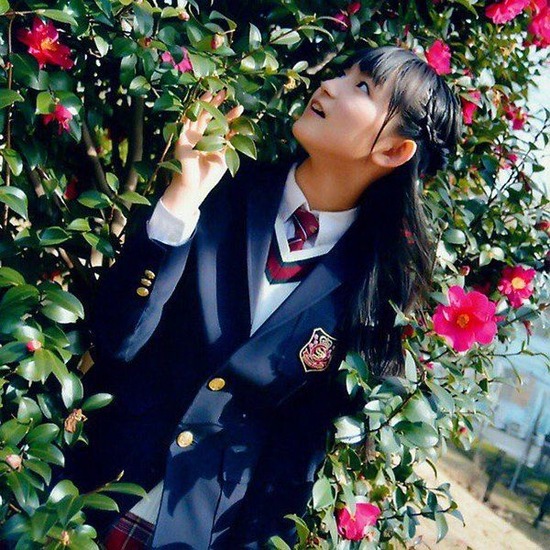 ca53045b261df5d3ebd9e18831f9ffd8--sakura