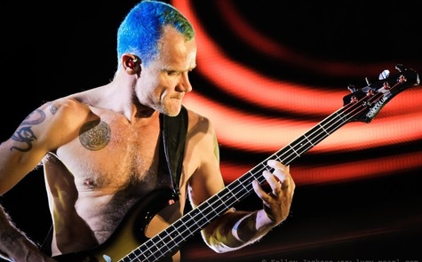 Flea